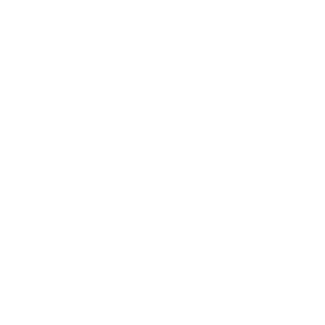Bus-Icon für Busfahrstunden der Fahrschule SULI und der Transportschule